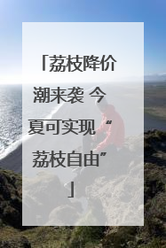 荔枝降价潮来袭 今夏可实现“荔枝自由”
