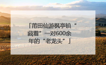 莆田仙游枫亭镇“藏着”一对600余年的“老龙头”