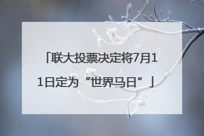 联大投票决定将7月11日定为“世界马日”