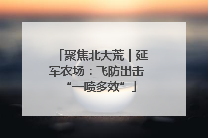 聚焦北大荒｜延军农场：飞防出击 “一喷多效”