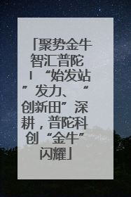 聚势金牛 智汇普陀〡“始发站”发力、“创新田”深耕，普陀科创“金牛”闪耀