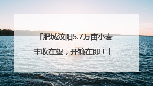 肥城汶阳5.7万亩小麦丰收在望，开镰在即！