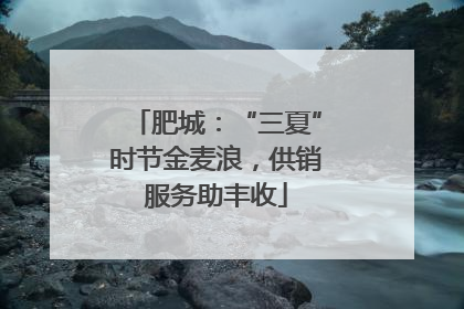 肥城：“三夏”时节金麦浪，供销服务助丰收