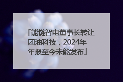能链智电董事长转让团油科技，2024年年报至今未能发布