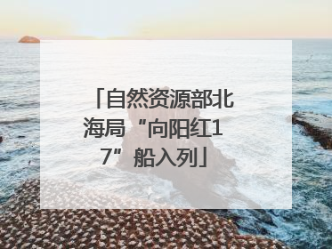 自然资源部北海局“向阳红17”船入列