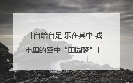 自给自足 乐在其中 城市里的空中“田园梦”