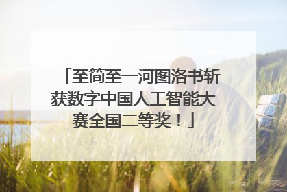 至简至一河图洛书斩获数字中国人工智能大赛全国二等奖！