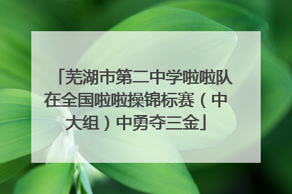 芜湖市第二中学啦啦队在全国啦啦操锦标赛（中大组）中勇夺三金