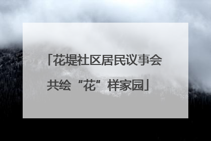 花堤社区居民议事会共绘“花”样家园