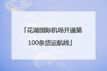 花湖国际机场开通第100条货运航线