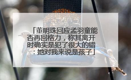董明珠回应孟羽童能否再回格力，称其离开时确实是犯了很大的错：她对我来说是孩子