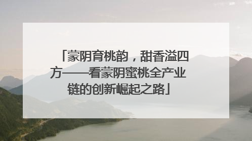 蒙阴育桃韵，甜香溢四方——看蒙阴蜜桃全产业链的创新崛起之路