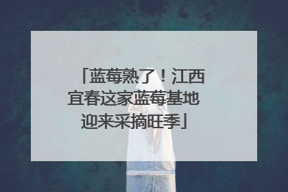 蓝莓熟了！江西宜春这家蓝莓基地迎来采摘旺季