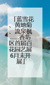 蓝雪花、黄地菊、流泉枫……香坊区首届百花园艺展6月末开展
