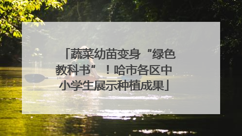 蔬菜幼苗变身“绿色教科书”！哈市各区中小学生展示种植成果