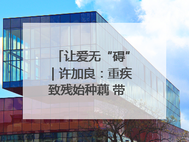 让爱无“碍”｜许加良：重疾致残始种藕 带动致富靠双手