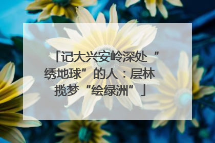 记大兴安岭深处“绣地球”的人：层林揽梦“绘绿洲”
