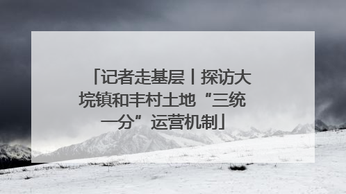 记者走基层丨探访大垸镇和丰村土地“三统一分”运营机制
