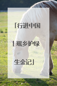 行进中国丨瑶乡护绿生金记