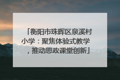 衡阳市珠晖区泉溪村小学：聚焦体验式教学，推动思政课堂创新