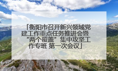 衡阳市召开新兴领域党建工作重点任务推进会暨“两个覆盖”集中攻坚工作专班 第一次会议