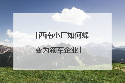 西南小厂如何蝶变为领军企业
