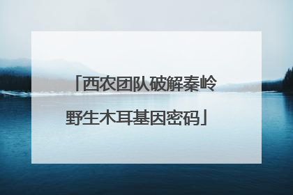 西农团队破解秦岭野生木耳基因密码