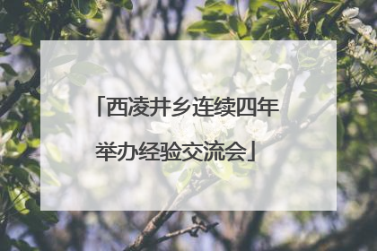 西凌井乡连续四年举办经验交流会