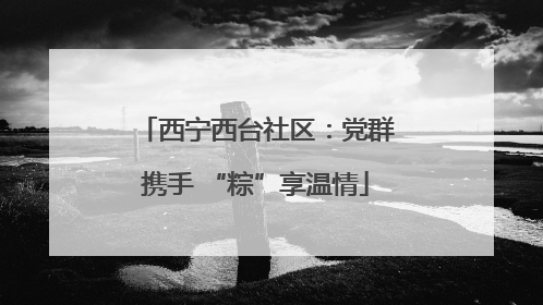 西宁西台社区：党群携手 “粽”享温情