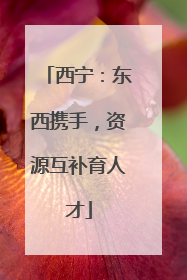 西宁：东西携手，资源互补育人才