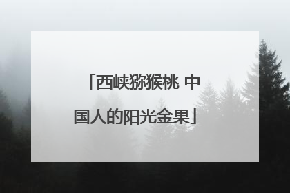 西峡猕猴桃 中国人的阳光金果