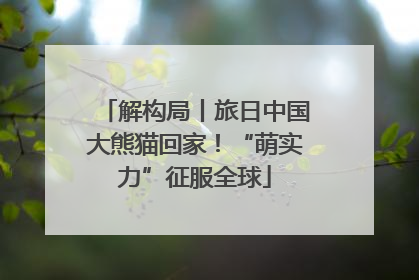 解构局丨旅日中国大熊猫回家！“萌实力”征服全球