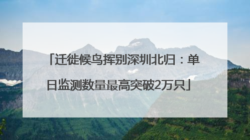 迁徙候鸟挥别深圳北归：单日监测数量最高突破2万只