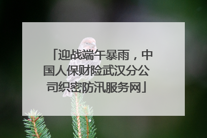 迎战端午暴雨，中国人保财险武汉分公司织密防汛服务网