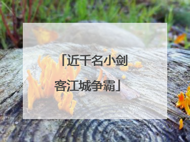 近千名小剑客江城争霸