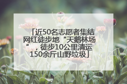 近50名志愿者集结网红徒步地“天鹅林场”，徒步10公里清运150余斤山野垃圾