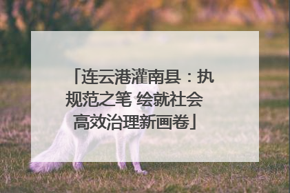 连云港灌南县：执规范之笔 绘就社会高效治理新画卷