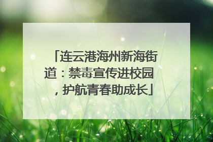 连云港海州新海街道：禁毒宣传进校园，护航青春助成长