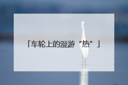 车轮上的漫游“热”