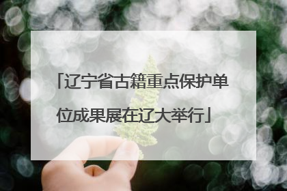 辽宁省古籍重点保护单位成果展在辽大举行