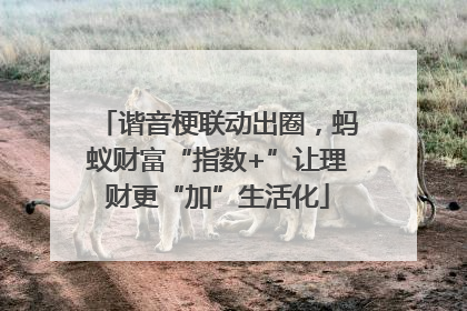 谐音梗联动出圈，蚂蚁财富“指数+”让理财更“加”生活化