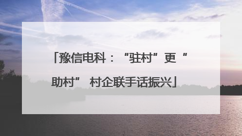 豫信电科：“驻村”更“助村” 村企联手话振兴