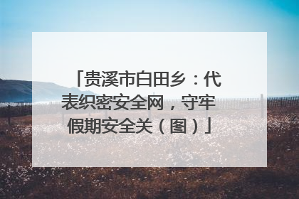 贵溪市白田乡：代表织密安全网，守牢假期安全关（图）