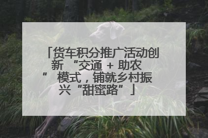 货车积分推广活动创新 “交通 + 助农” 模式，铺就乡村振兴“甜蜜路”