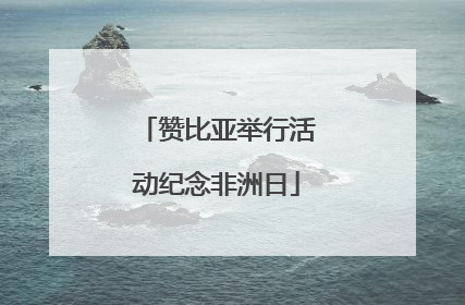 赞比亚举行活动纪念非洲日