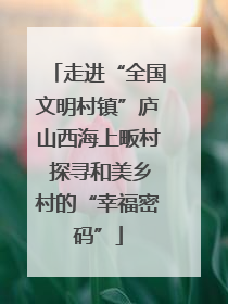 走进“全国文明村镇”庐山西海上畈村 探寻和美乡村的“幸福密码”