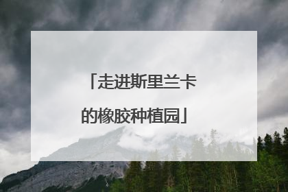 走进斯里兰卡的橡胶种植园
