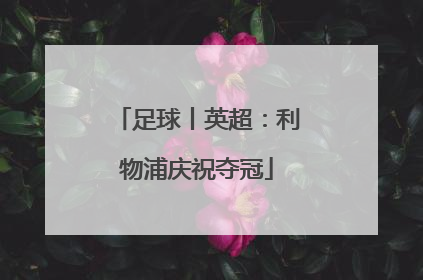 足球丨英超：利物浦庆祝夺冠