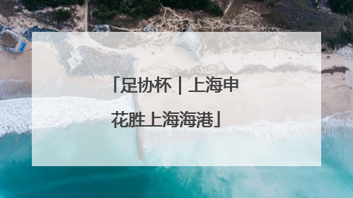 足协杯｜上海申花胜上海海港