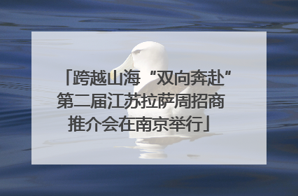 跨越山海“双向奔赴” 第二届江苏拉萨周招商推介会在南京举行